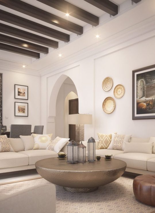 Agora Premium Uncategorized 42