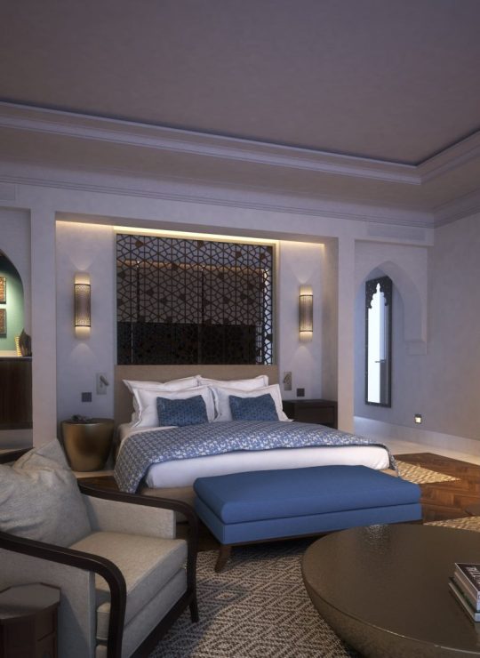 Agora Premium Uncategorized 42