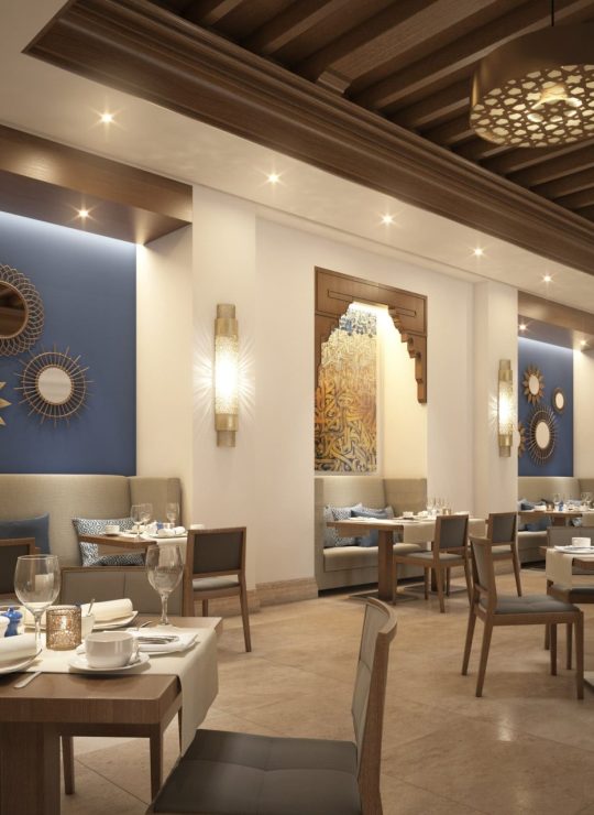 Agora Premium Uncategorized 42