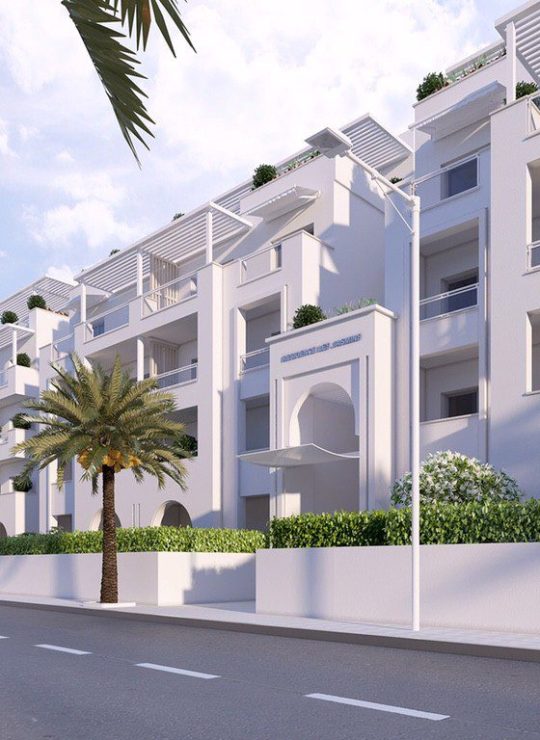 Agora Premium Uncategorized 107