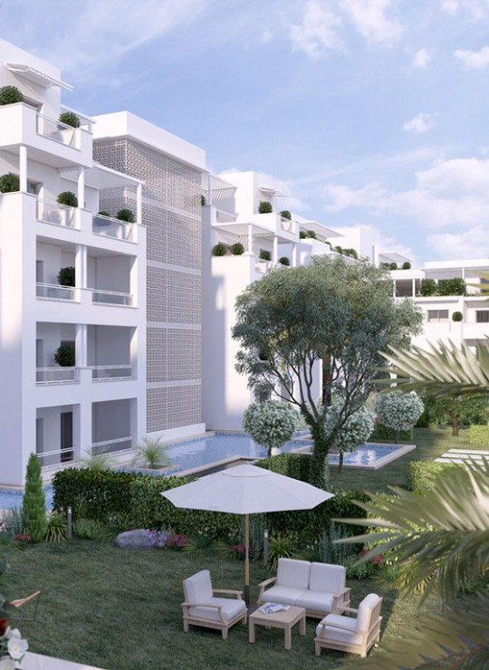 Agora Premium Uncategorized 108