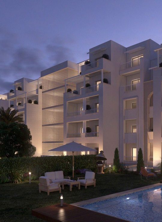 Agora Premium Uncategorized 109