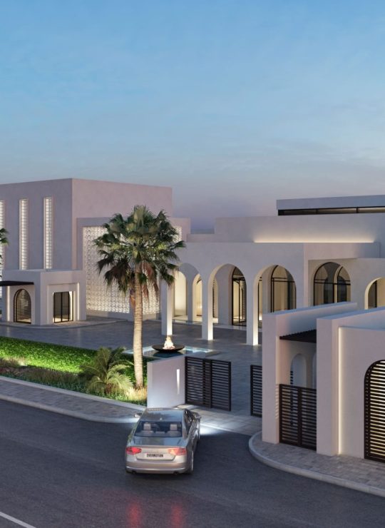 Agora Premium Uncategorized 155