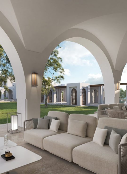 Agora Premium Uncategorized 156