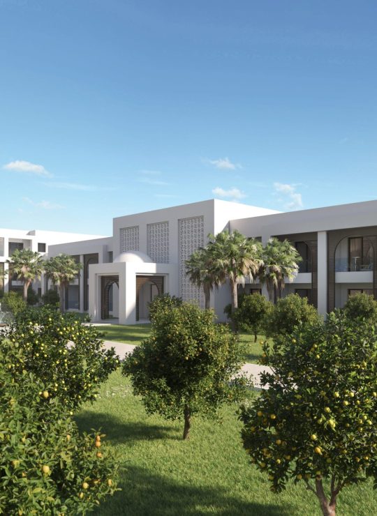 Agora Premium Uncategorized 157