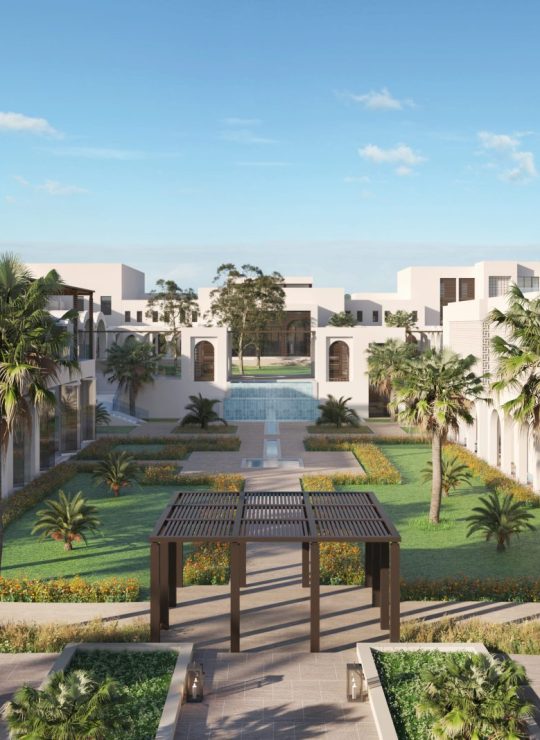 Agora Premium Uncategorized 158