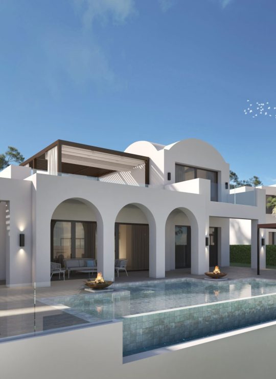 Agora Premium Uncategorized 159