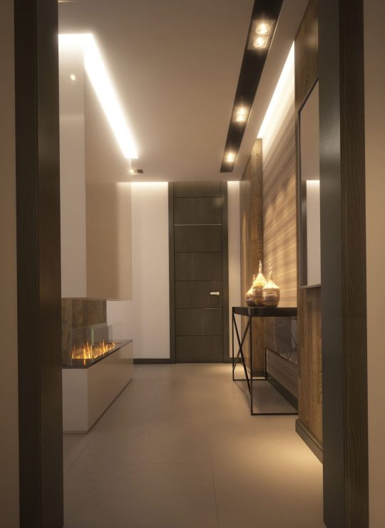 Agora Premium Uncategorized 168