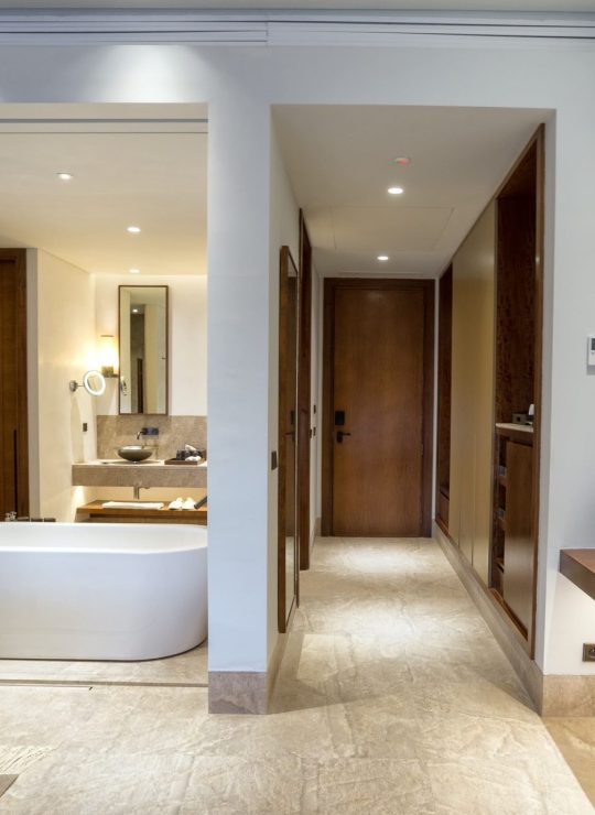 Agora Premium Uncategorized 66