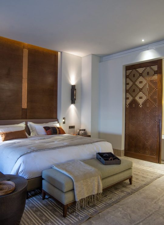 Agora Premium Uncategorized 67